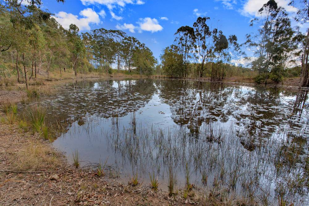 597 Temagog Road, TEMAGOG, NSW 2440