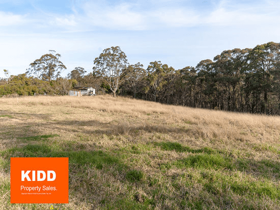 21 Bloodtree Road, MANGROVE MOUNTAIN, NSW 2250