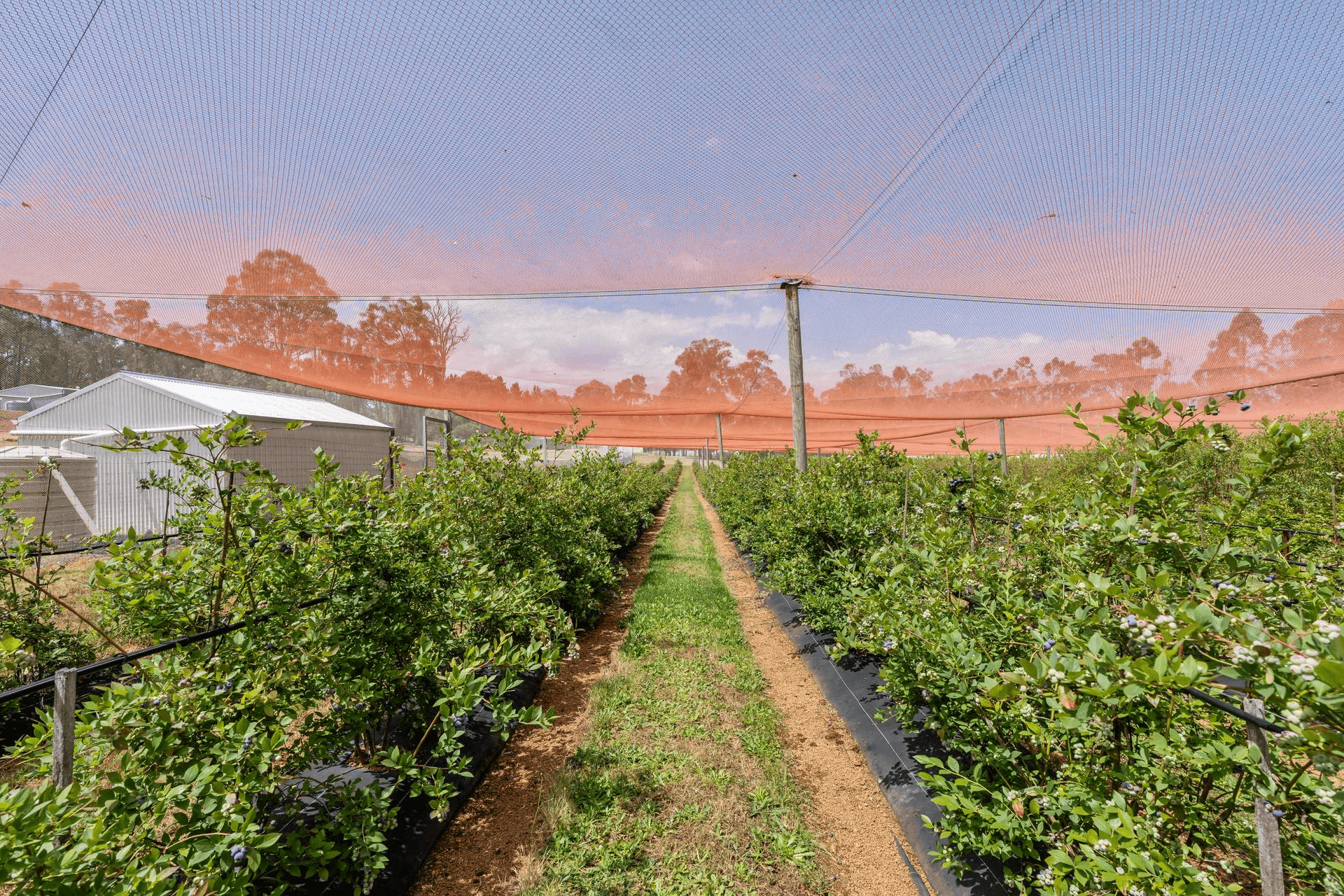 384 Linfarn Road, Linfarne, WA 6258
