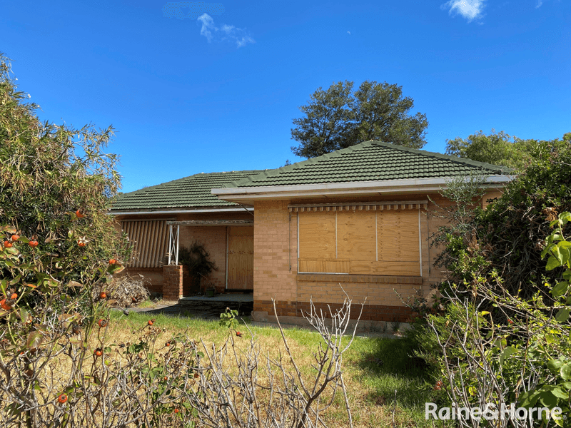 6 Renown Avenue, CLOVELLY PARK, SA 5042