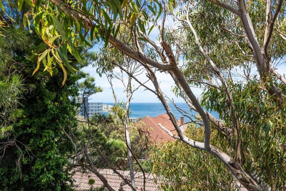 6/331 Bondi Road, BONDI, NSW 2026