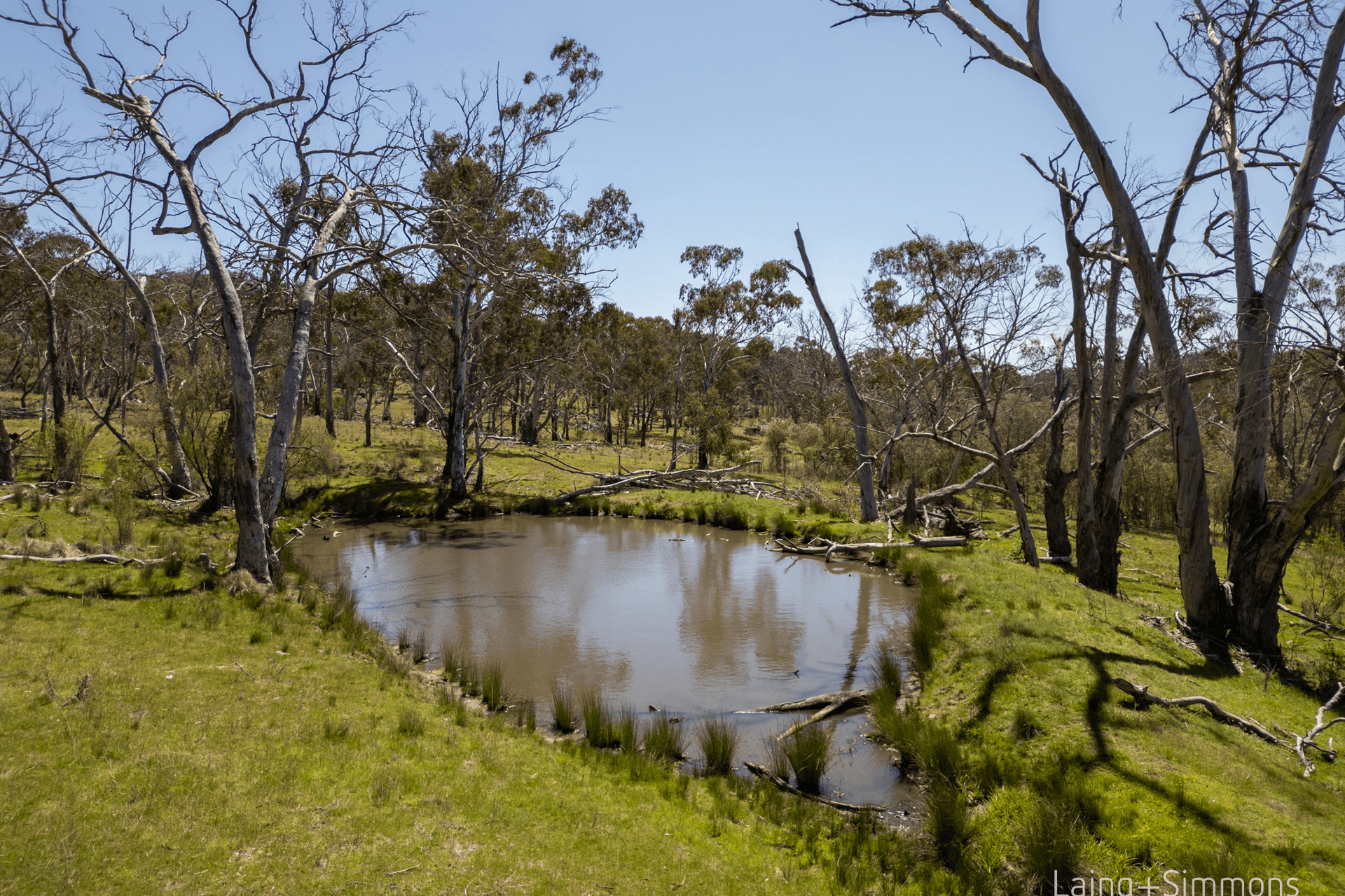 91 Devoncourt Road, Uralla, NSW 2358