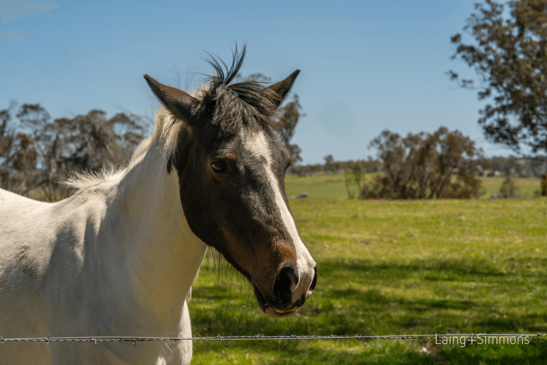 91 Devoncourt Road, Uralla, NSW 2358