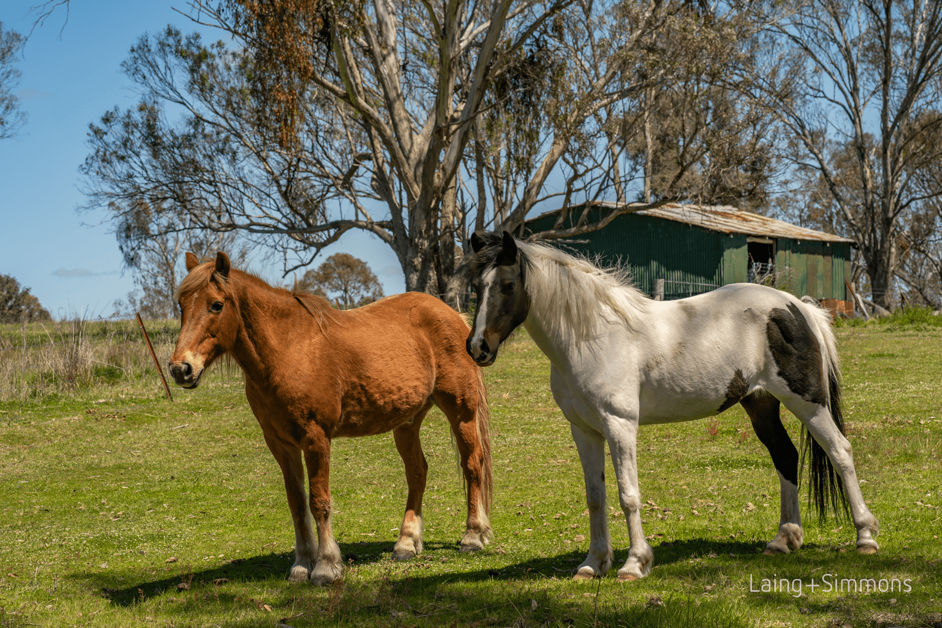 91 Devoncourt Road, Uralla, NSW 2358