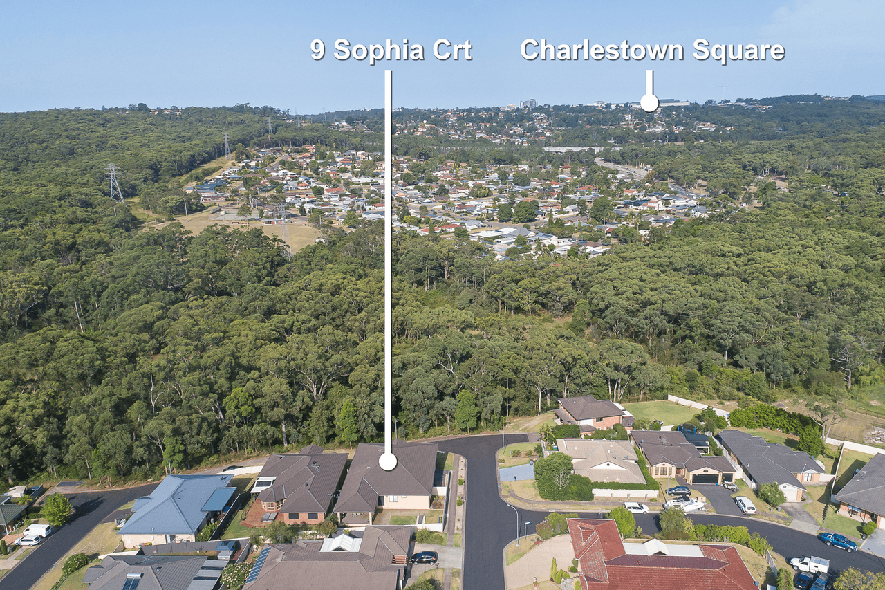 9 Sophia Court, CARDIFF SOUTH, NSW 2285