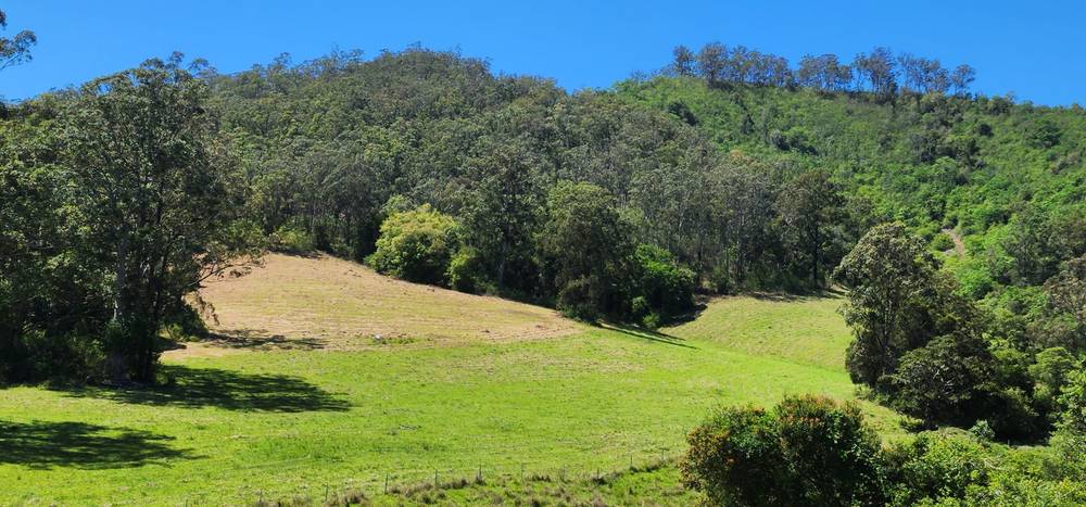 5887 Oxley Highway, Ellenborough, NSW 2446