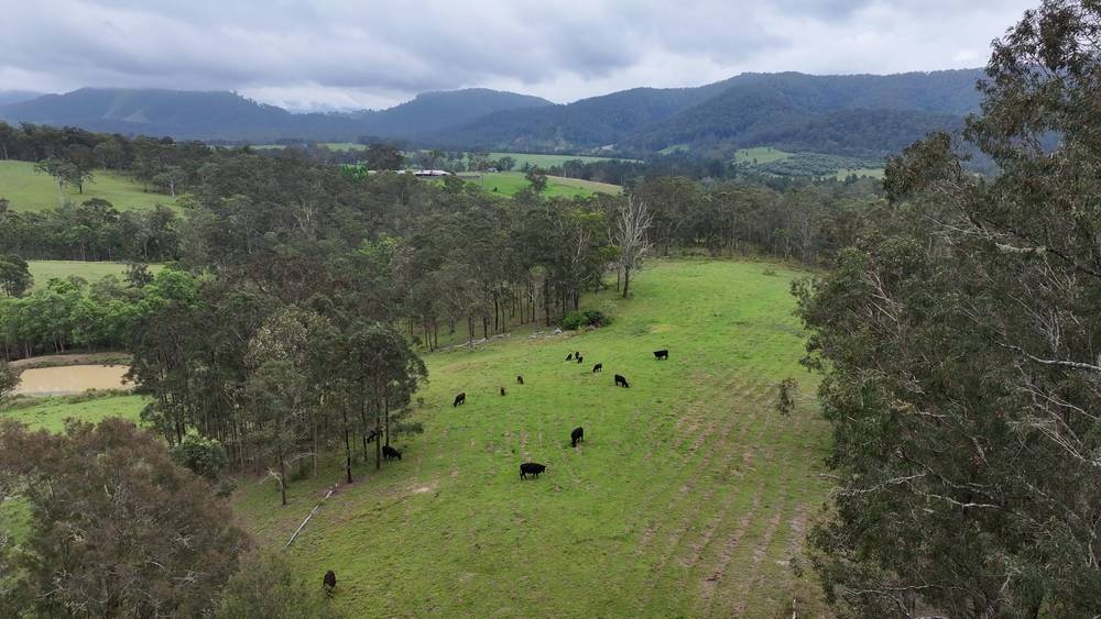 5887 Oxley Highway, Ellenborough, NSW 2446