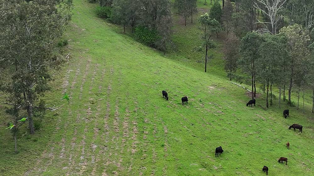 5887 Oxley Highway, Ellenborough, NSW 2446