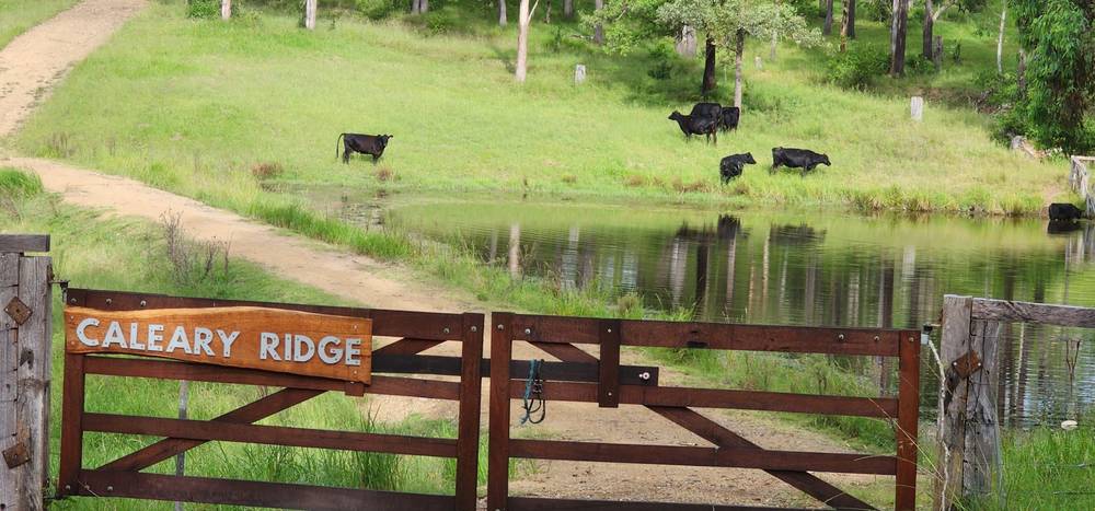 5887 Oxley Highway, Ellenborough, NSW 2446
