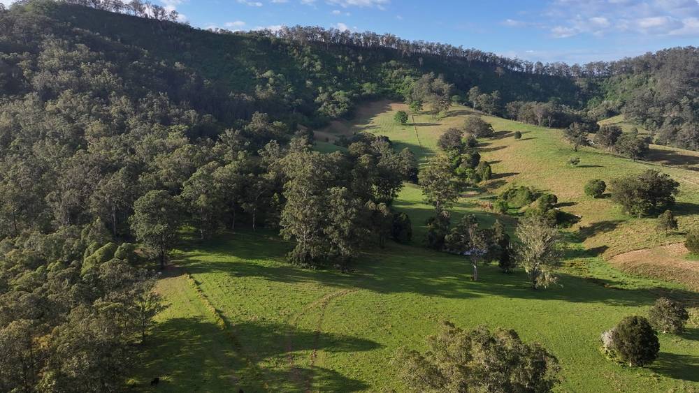 5887 Oxley Highway, Ellenborough, NSW 2446