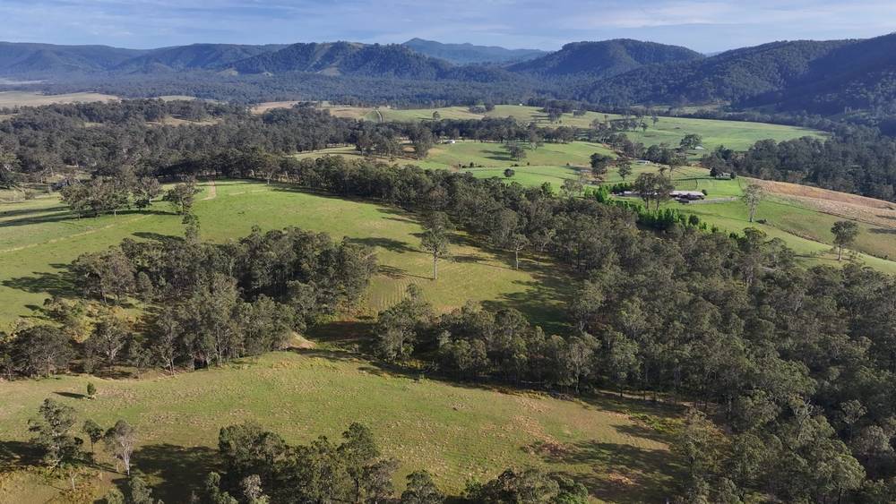 5887 Oxley Highway, Ellenborough, NSW 2446