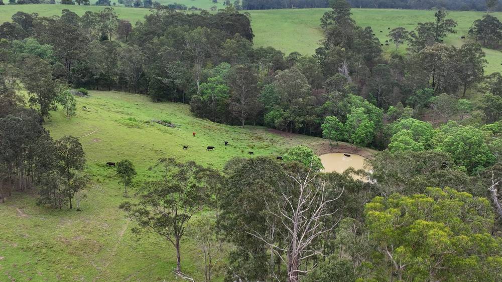 5887 Oxley Highway, Ellenborough, NSW 2446