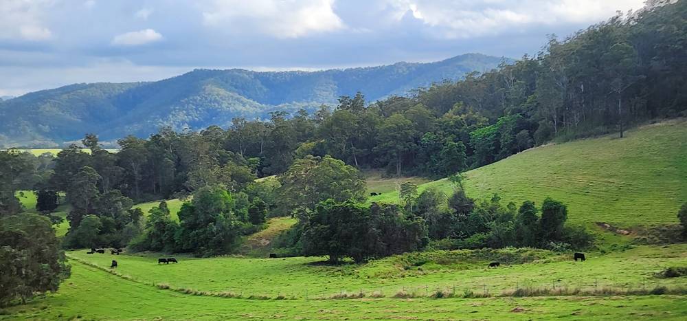 5887 Oxley Highway, Ellenborough, NSW 2446
