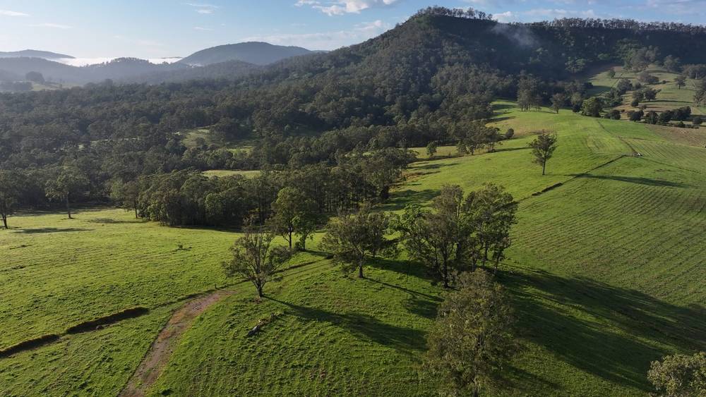 5887 Oxley Highway, Ellenborough, NSW 2446
