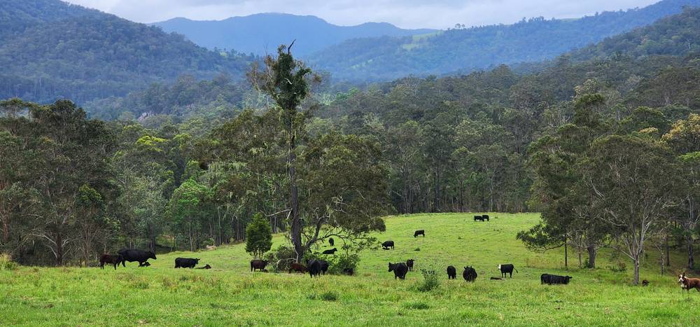 5887 Oxley Highway, Ellenborough, NSW 2446