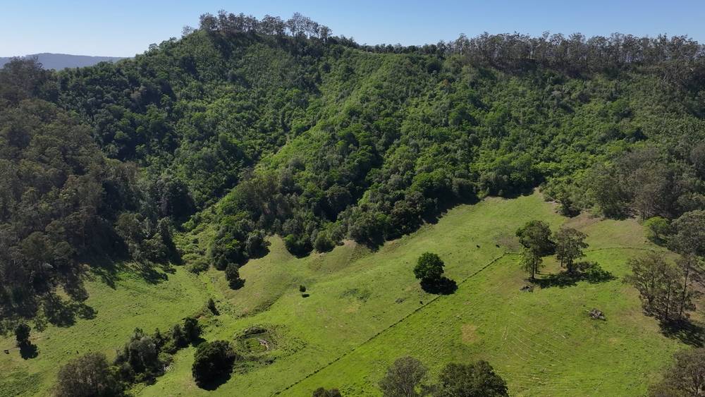 5887 Oxley Highway, Ellenborough, NSW 2446