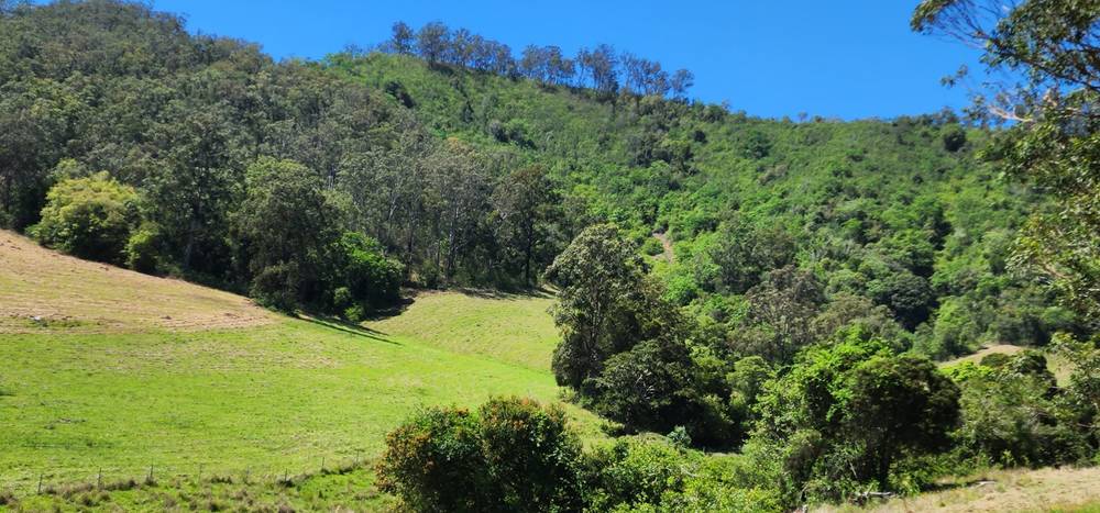 5887 Oxley Highway, Ellenborough, NSW 2446