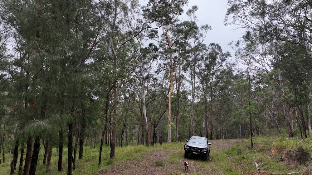 5887 Oxley Highway, Ellenborough, NSW 2446