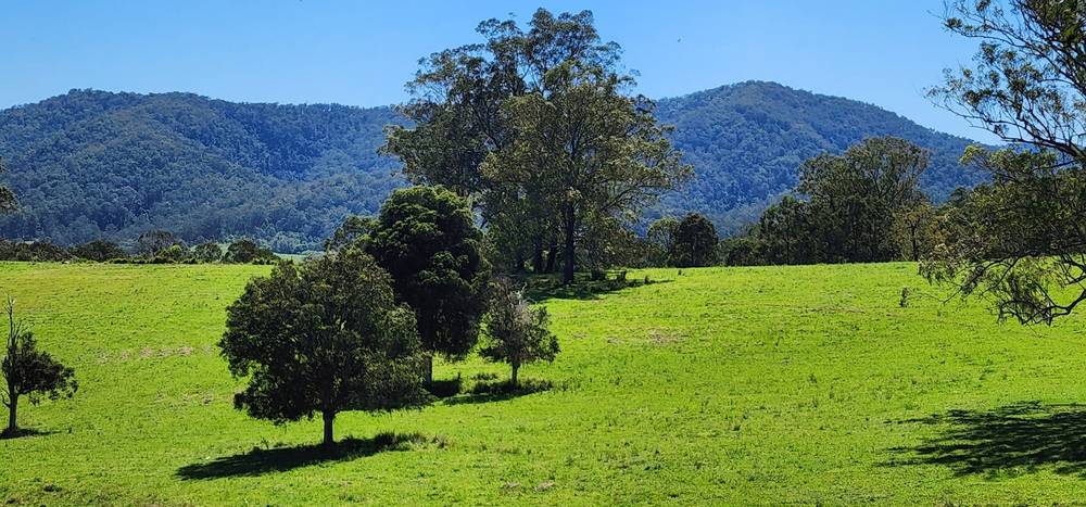 5887 Oxley Highway, Ellenborough, NSW 2446