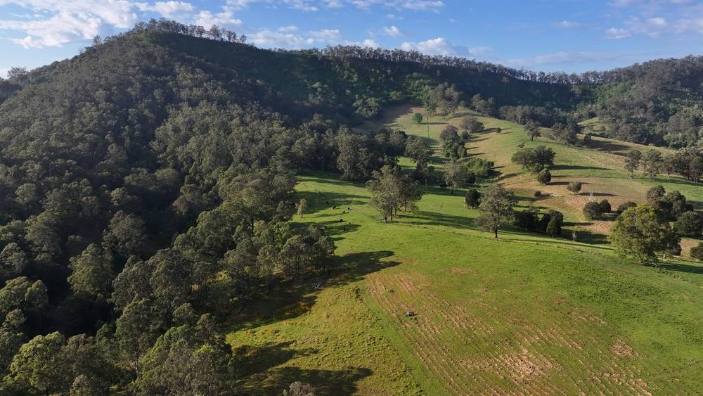 5887 Oxley Highway, Ellenborough, NSW 2446