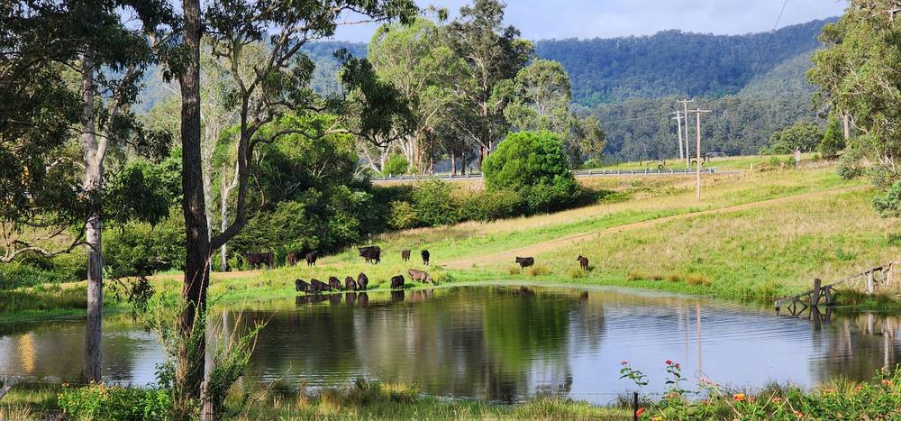 5887 Oxley Highway, Ellenborough, NSW 2446
