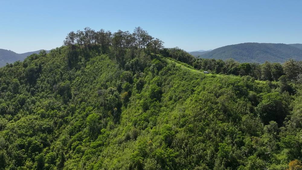 5887 Oxley Highway, Ellenborough, NSW 2446