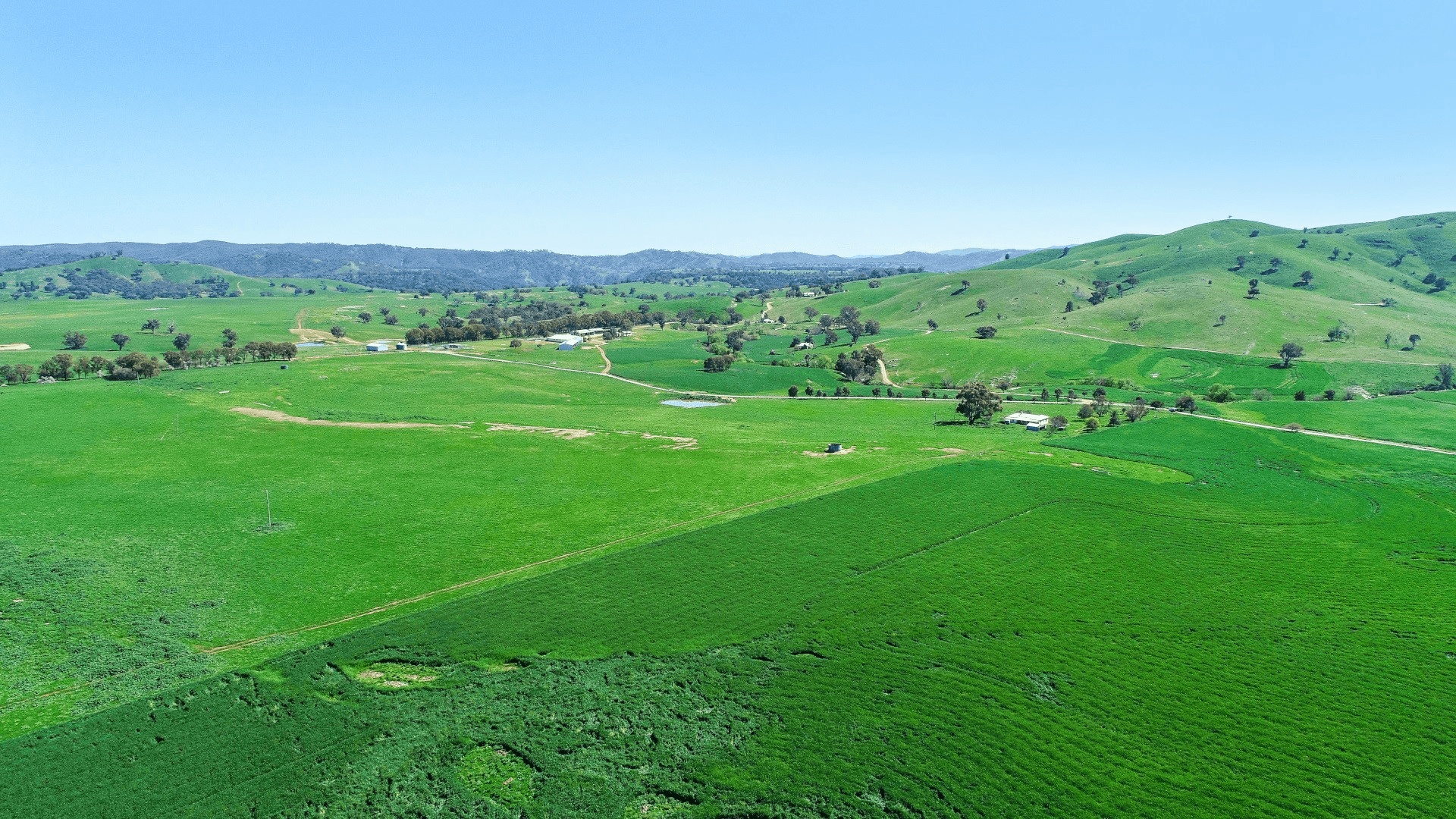 2755 Triamble Road, Mudgee, NSW 2850