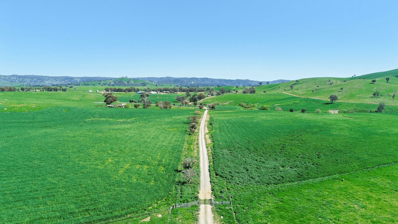 2755 Triamble Road, Mudgee, NSW 2850