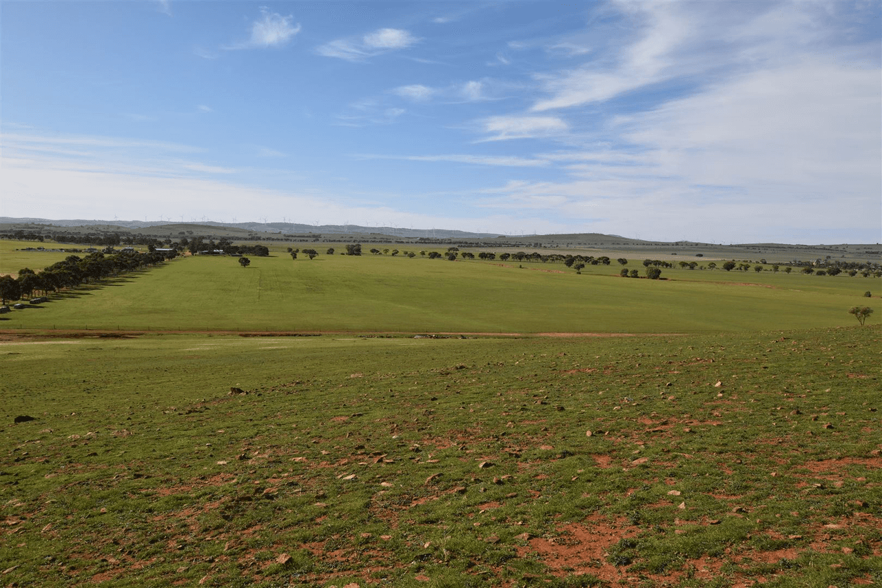 173 Appila-Tarcowie Road, Appila, SA 5480