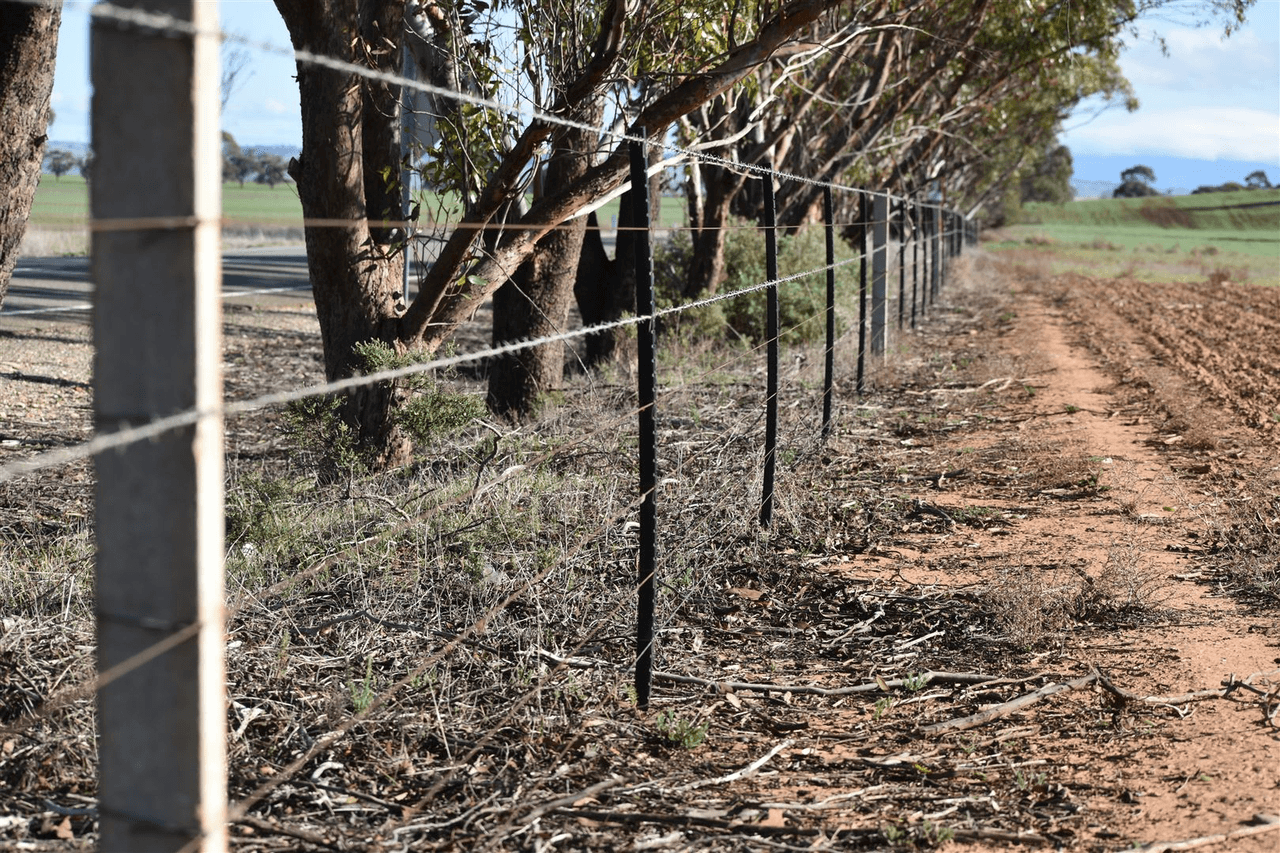 173 Appila-Tarcowie Road, Appila, SA 5480