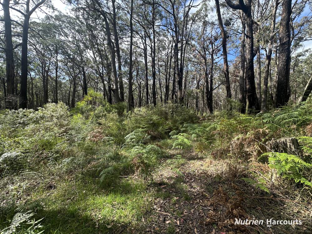 Lot 1 Albert River Welshpool Road, BINGINWARRI, VIC 3966