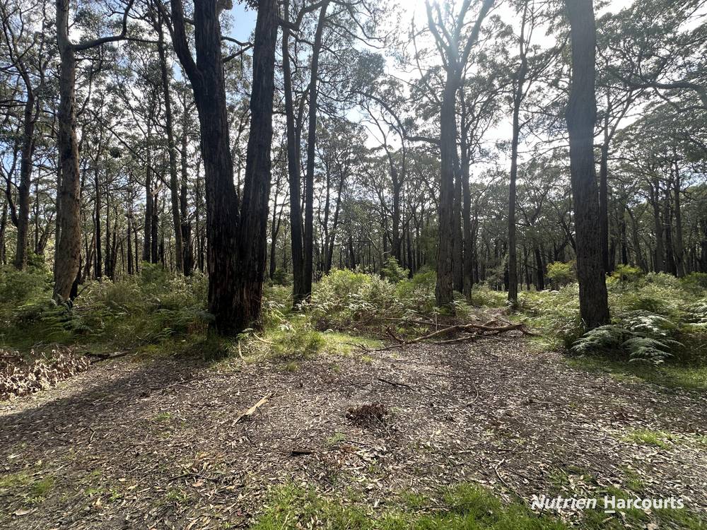 Lot 1 Albert River Welshpool Road, BINGINWARRI, VIC 3966