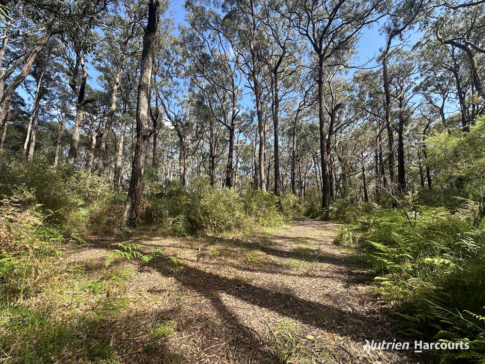 Lot 1 Albert River Welshpool Road, BINGINWARRI, VIC 3966