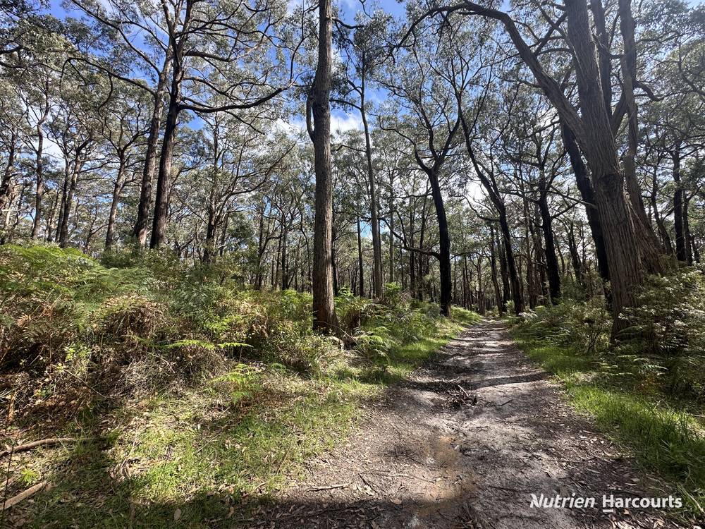 Lot 1 Albert River Welshpool Road, BINGINWARRI, VIC 3966
