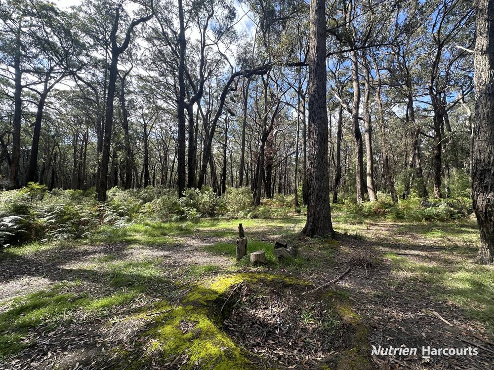Lot 1 Albert River Welshpool Road, BINGINWARRI, VIC 3966