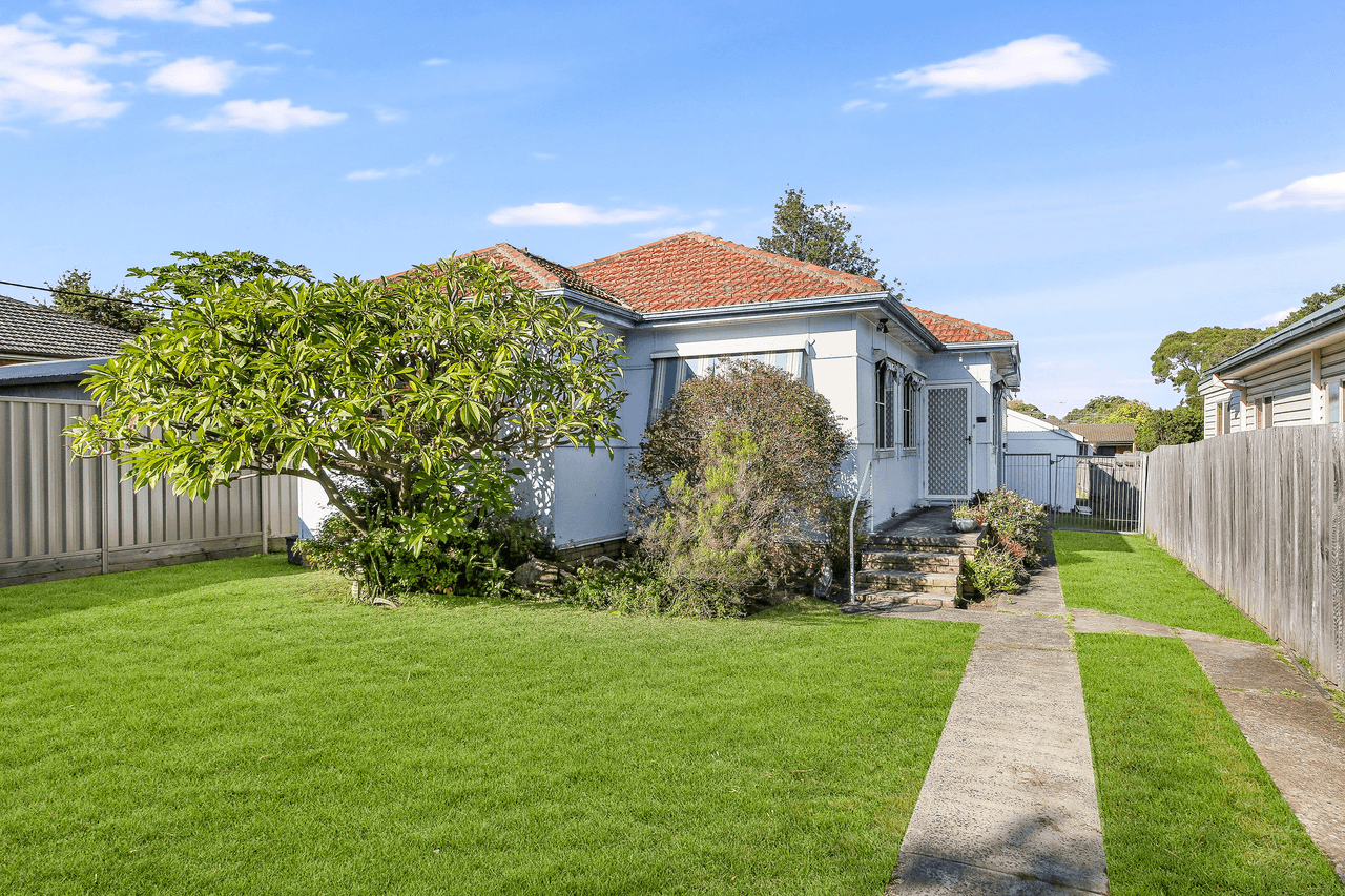 41 Rodd Street, BIRRONG, NSW 2143