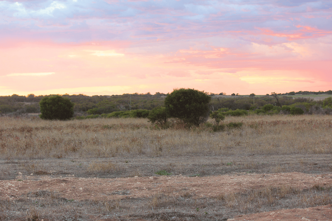 Lot 116 Padbury Road, BOOKARA, WA 6525