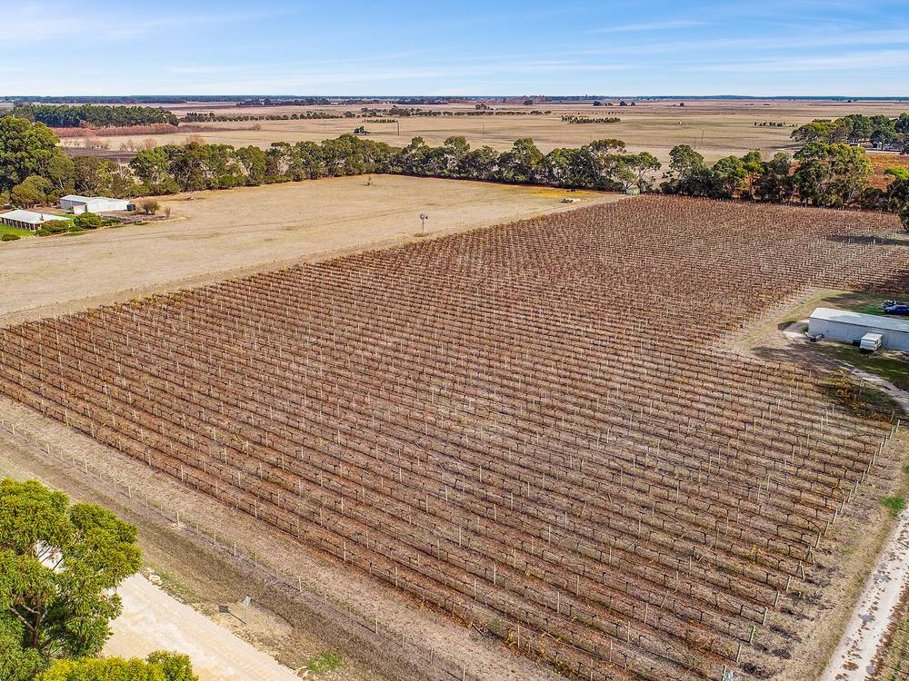 Lot 2 Chinamans Lane, Penola, SA 5277