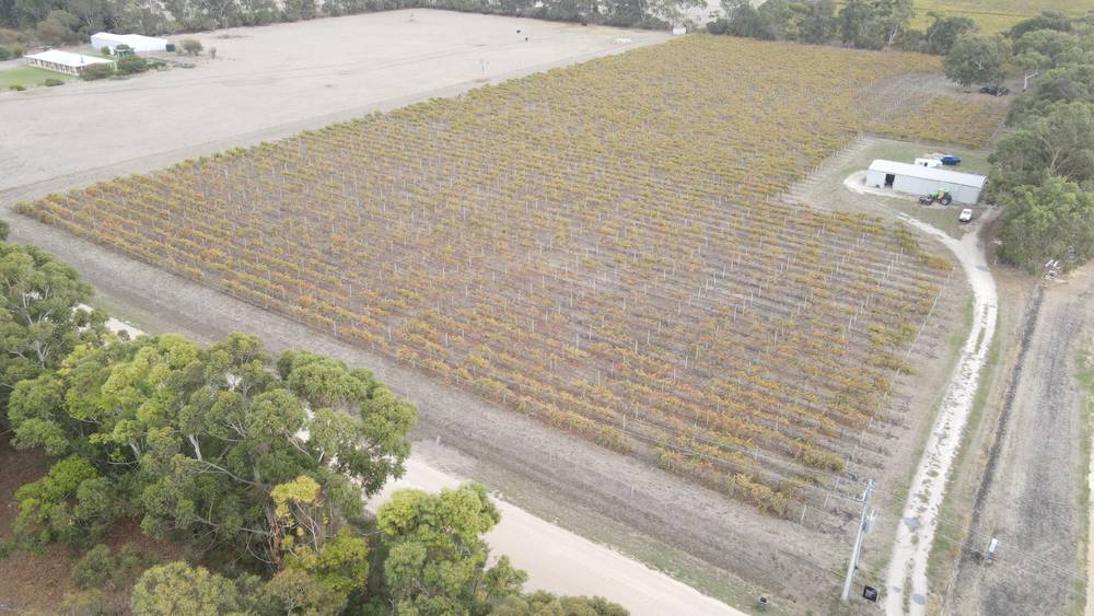 Lot 2 Chinamans Lane, Penola, SA 5277