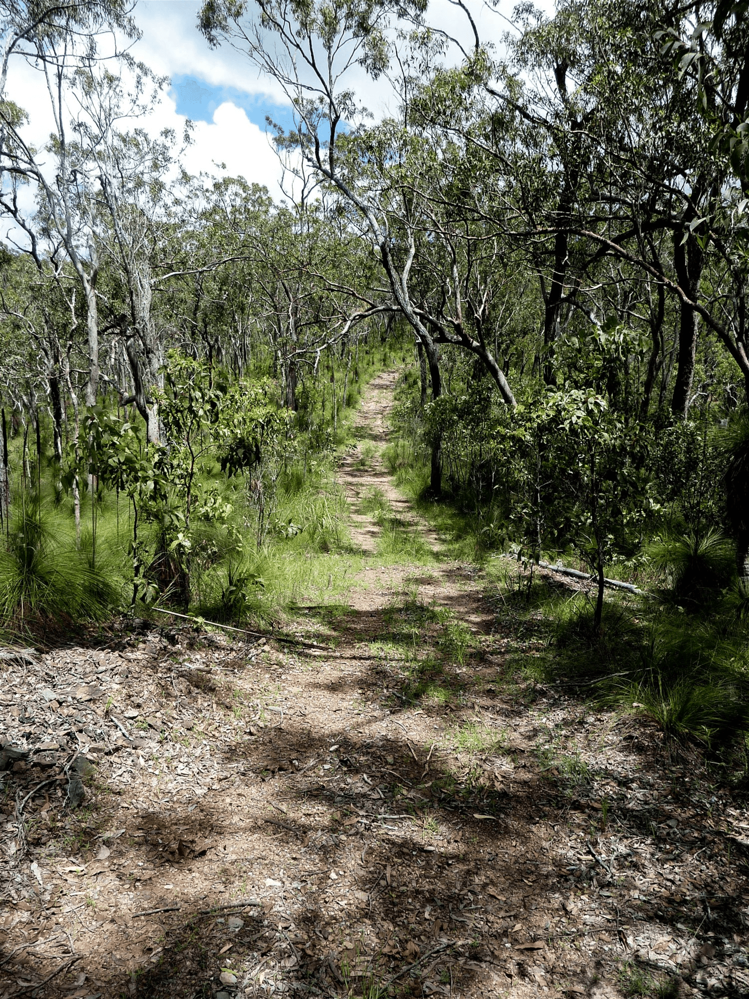 123 Two Chain Road, KOAH, QLD 4881