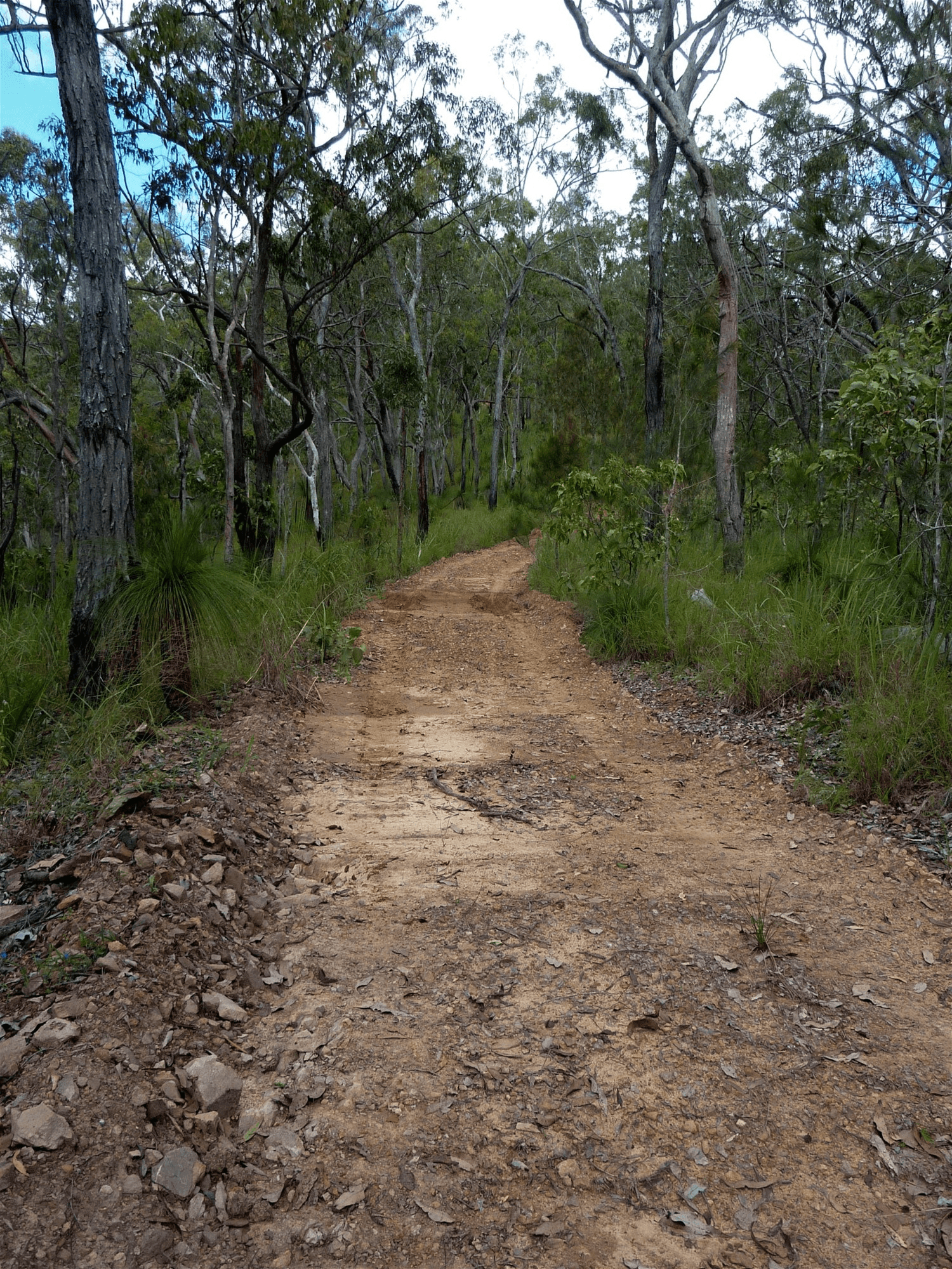 123 Two Chain Road, KOAH, QLD 4881