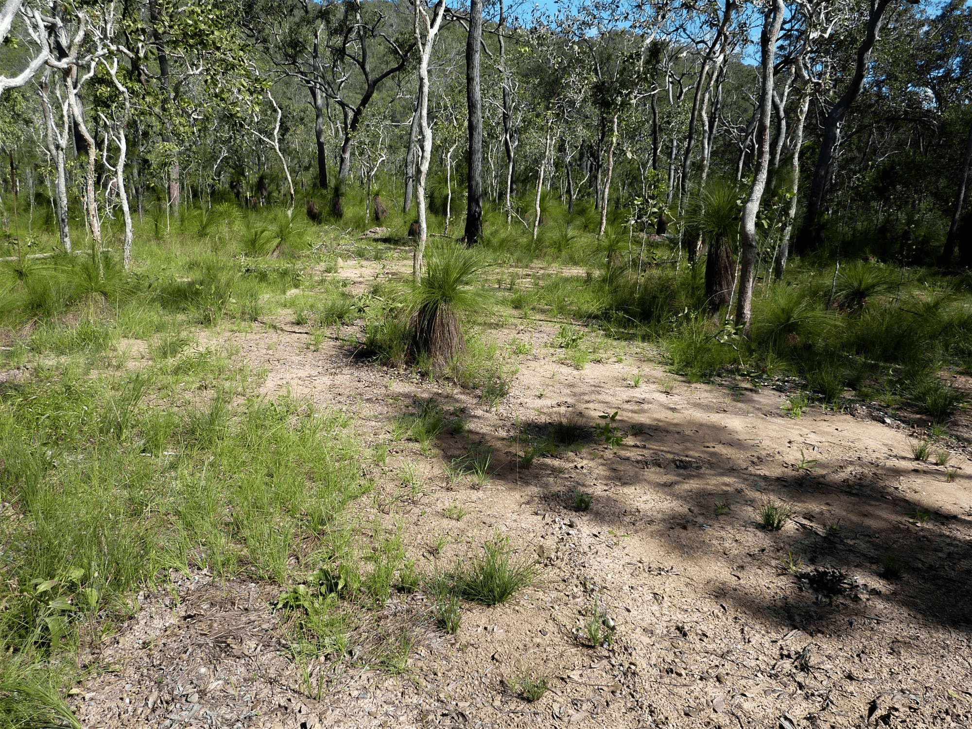 123 Two Chain Road, KOAH, QLD 4881