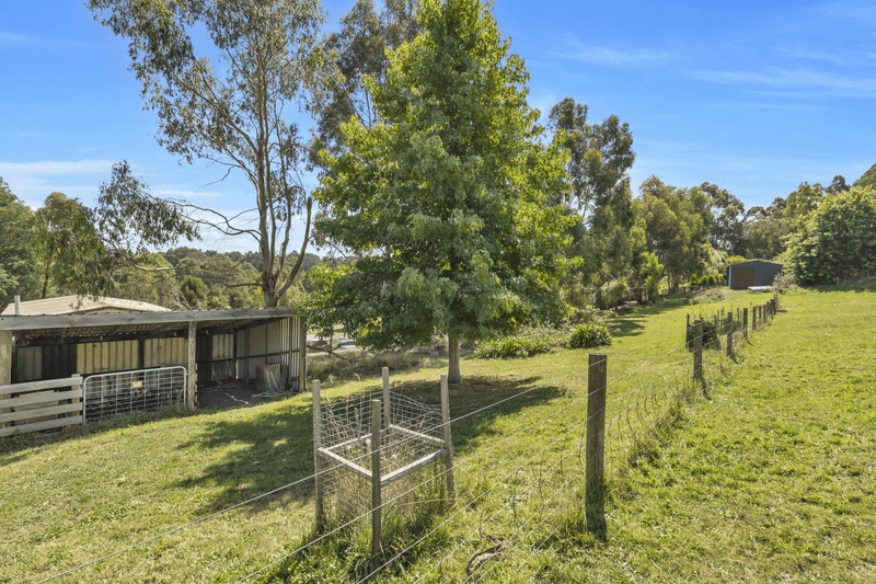 24 McDougal Road, Neerim South, VIC 3831