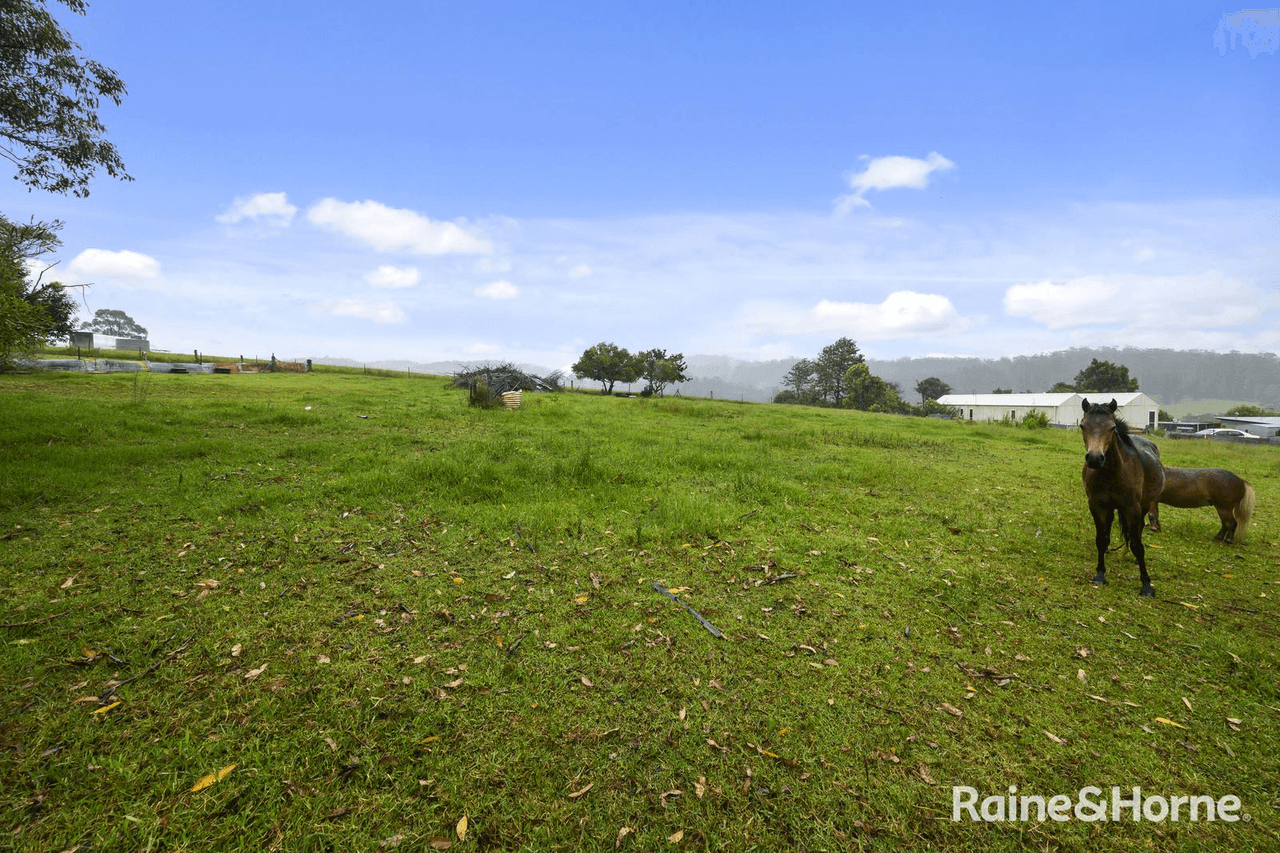 99 Pine Avenue, ULONG, NSW 2450