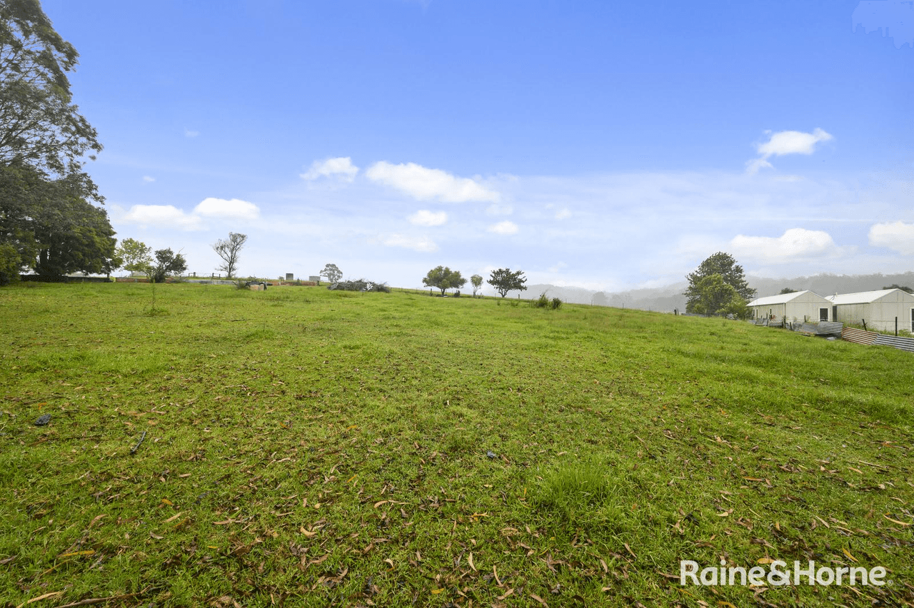 99 Pine Avenue, ULONG, NSW 2450