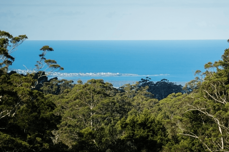 711 Kangaroo Valley Road, Berry, NSW 2535