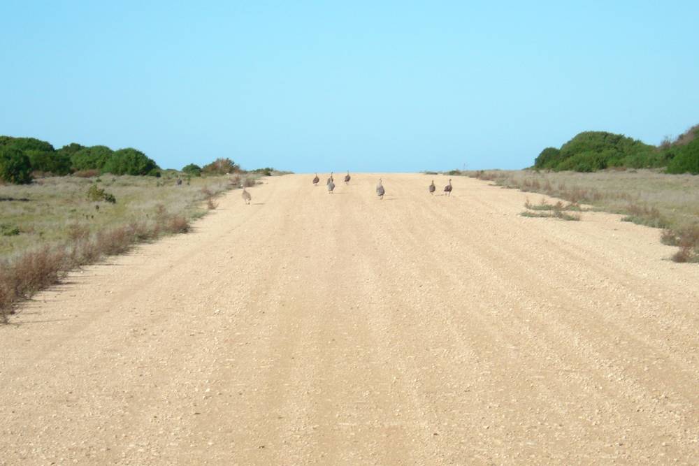 Government Road, Port Lincoln, SA 5606