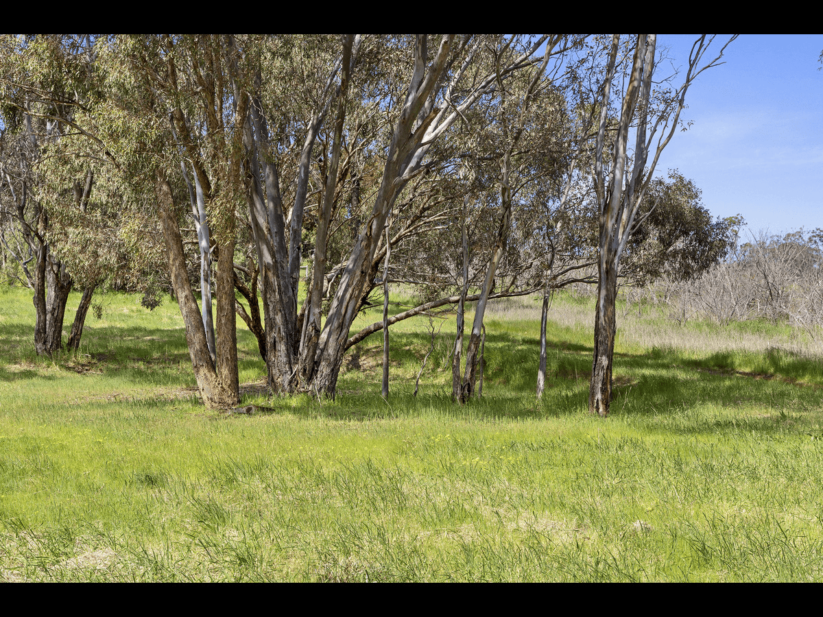 CA 11 Murchinson Street, Mia Mia, VIC 3444