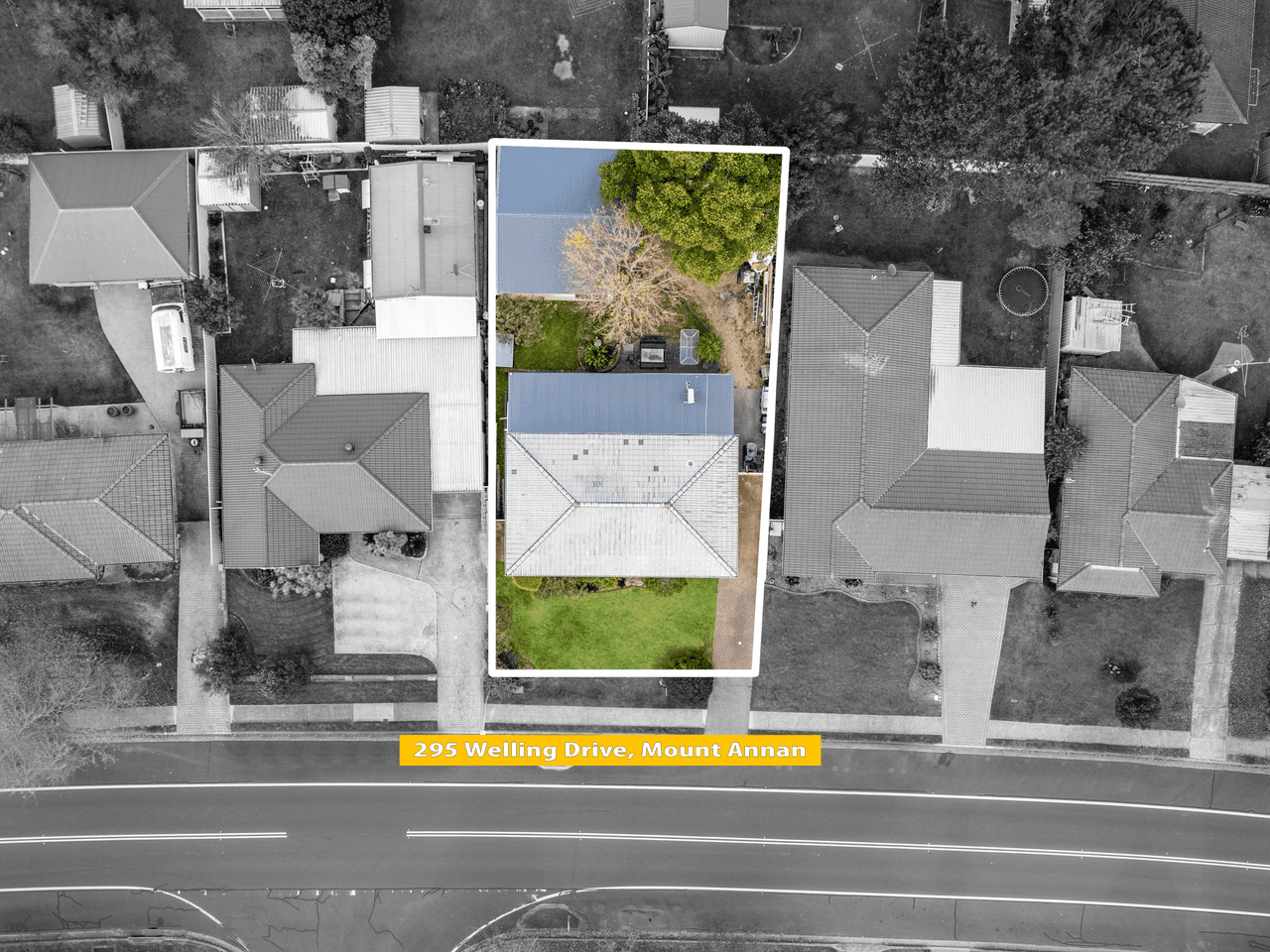 295 welling Dr, MOUNT ANNAN, NSW 2567