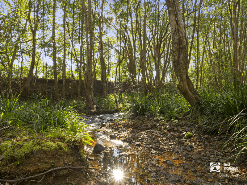 145 Smiths Creek Road, Uki, NSW 2484